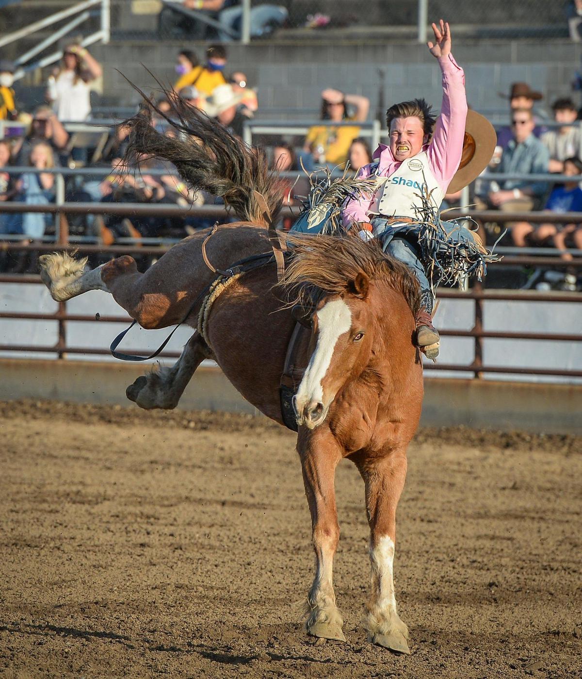 Connor Hamilton of Calgary, Alberta, rides Tequila Time in the bareback riding section of the PRCA event at the Clovis Rodeo on Thursday, April 23, 2021.