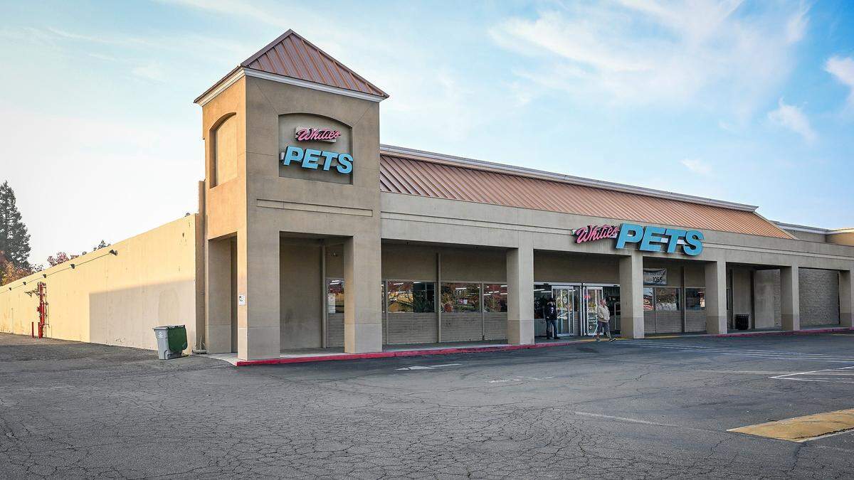 The 30,000-square-foot Whitie's Pets building near Blackstone and Barstow avenues was originally built for Arthur's Toys, joining an existing Kmart and Safeway in the shopping center in 1972.