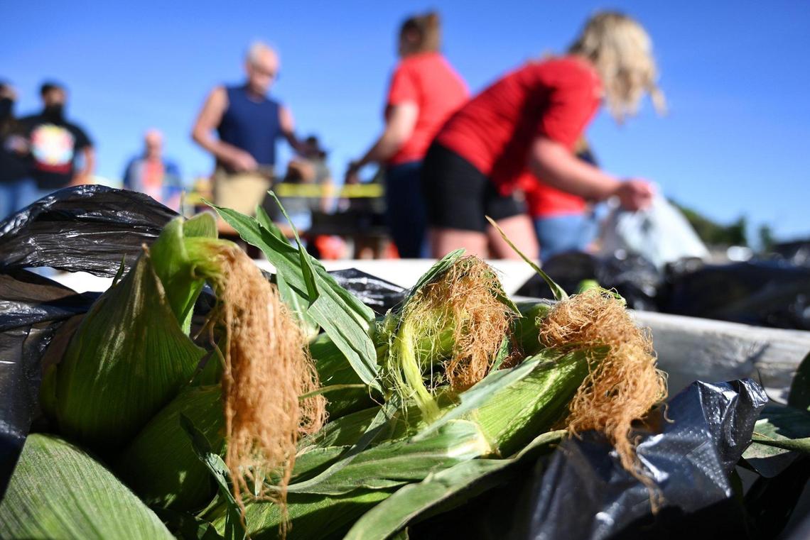 Bagged white and yellow corn is sold to customers on the first day Rue and Gwen Gibson Farm Market began selling the popular seasonal sweet yellow and white corn to the public. The outdoor station allowed people to buy pre-bagged corn of 10 ears each although customers could also select ears themselves inside the market. Photographed Monday, May 30, 2022 in Fresno.