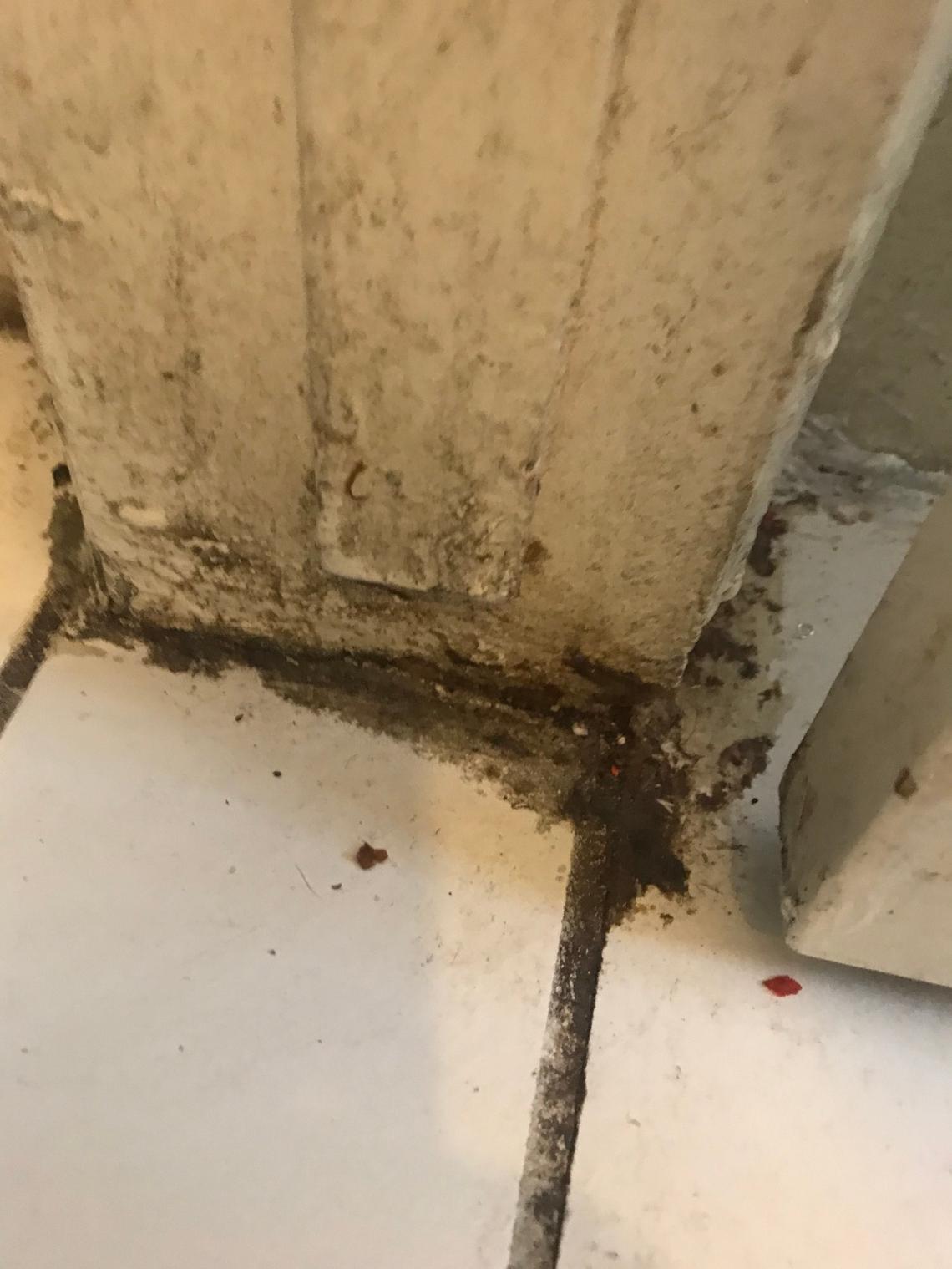 The doorway of a bathroom in an apartment at Manchester Arms shows the appearance of mold and mildew buildup, as seen March 22, 2021.