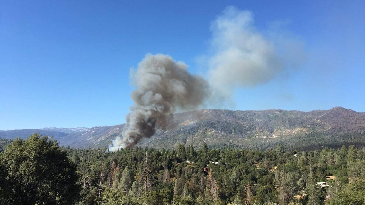 Cal Fire reported the School Fire in North Fork on Tuesday, July 10, 2018.