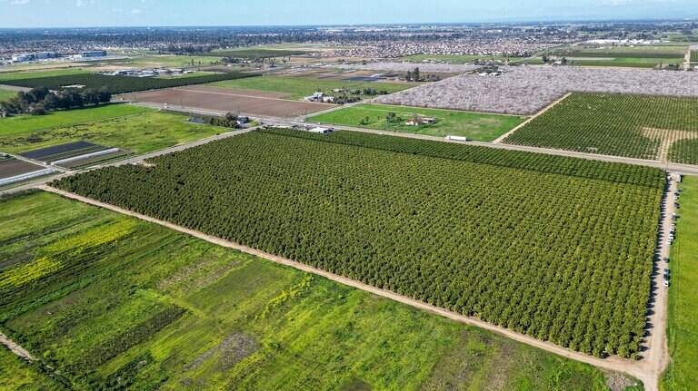 Fresno councilmember says measure would protect taxpayers from SEDA debt. Does it really?