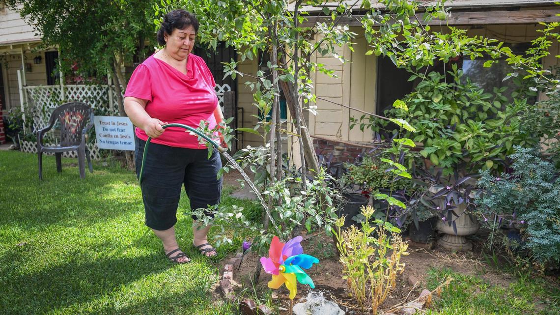 Jovita Torres-Romo waters the yard at her home in the rural community of Tombstone, near Sanger, on Thursday, Aug. 13, 2020. Last year Torres-Romo met with Governor Gavin Newsom to discuss the contaminated water situation at her home. Newsom then signed the Safe and Affordable Drinking Water Fund last year to provide $130 million a year to upkeep the access to safe water for communities like Tombstone.
