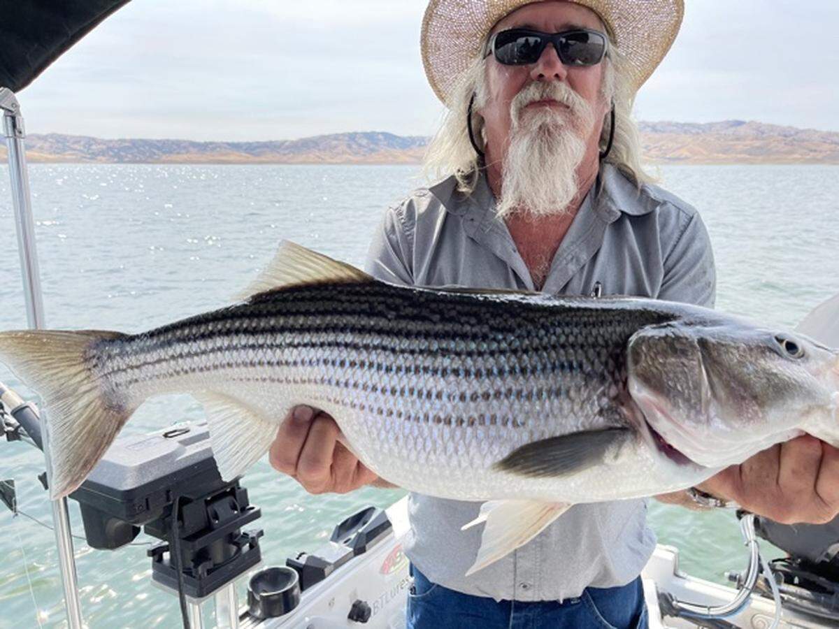 Randy Jacobsen of Easton shows off a striper caught June 16 at San Luis Reservoir.