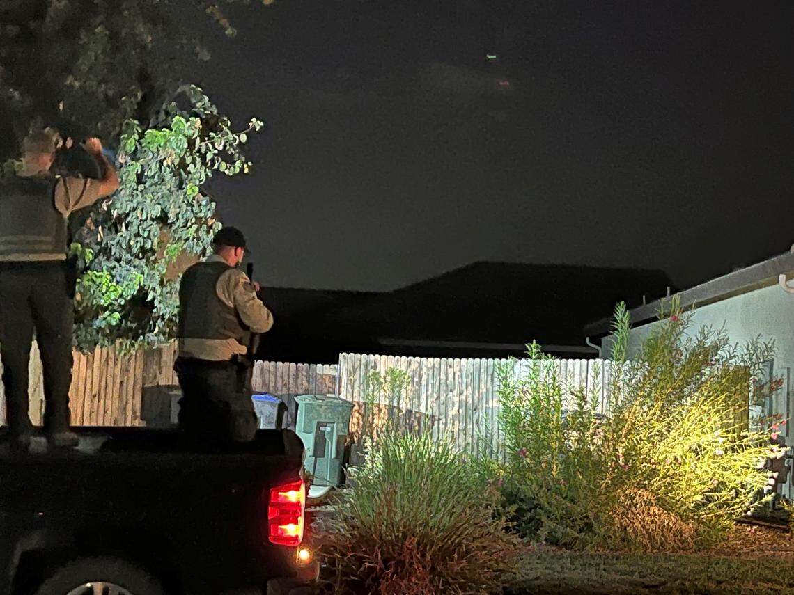 A mountain lion that wandered into a Visalia neighborhood early Sunday was tranquilized and captured safely, police said in a statement.