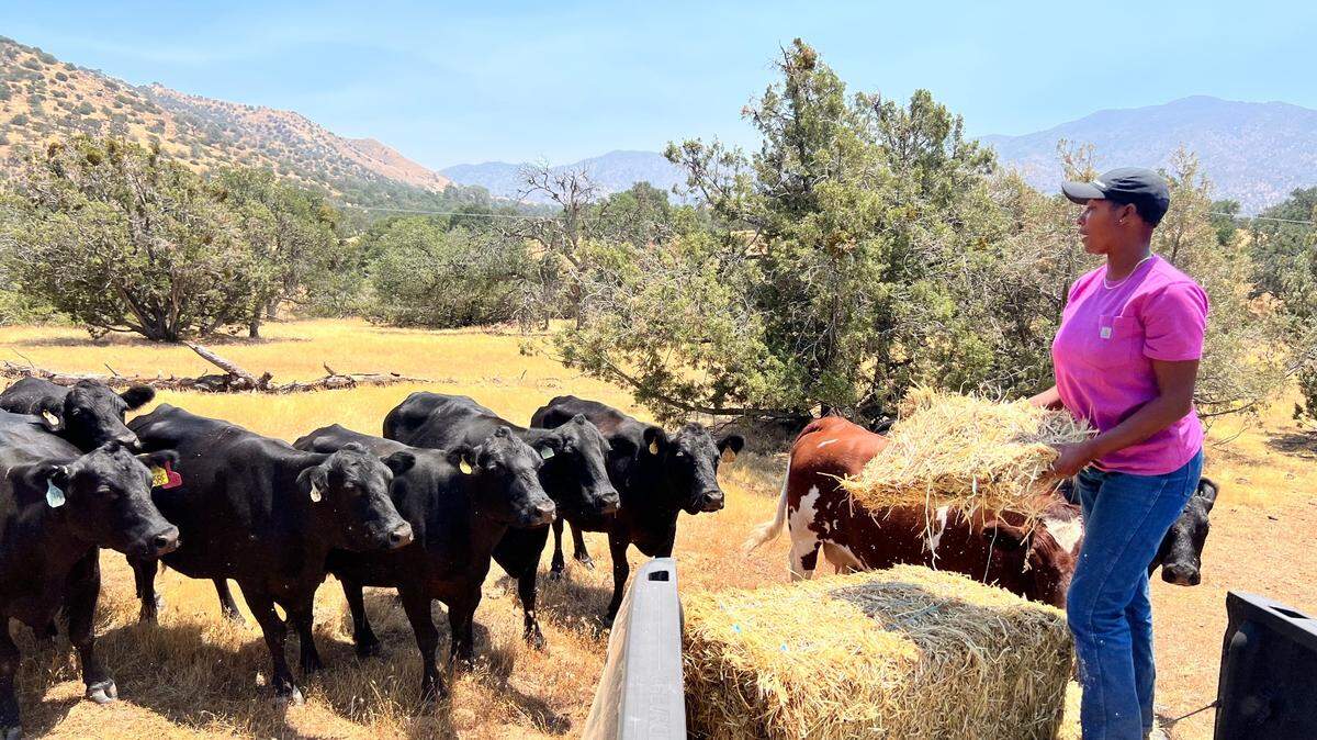 Rancher Rizpah Bellard of Fresno says consumer demand and a low supply of beef cattle is causing prices to rise. Bellard’s cattle, a cross between Angus and Wagyu, are kept in Kern County