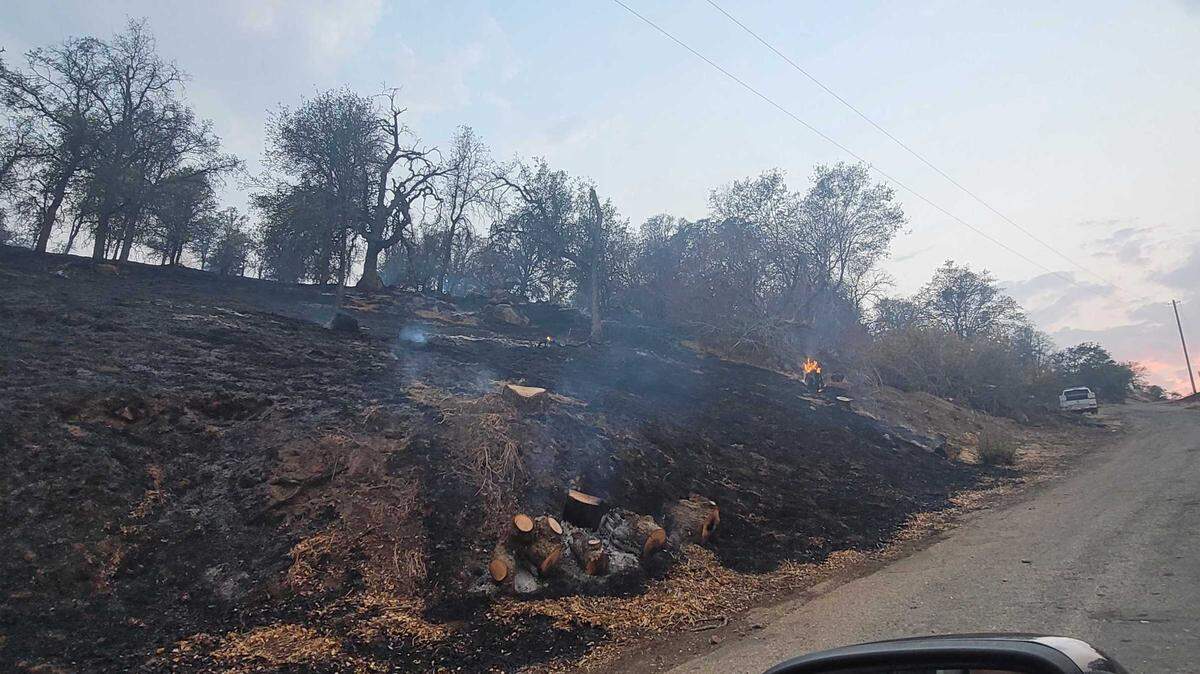 Cal Fire crews reported forward progress of flames had been halted Sunday, Aug. 15, 2021, in the Squaw Valley area of Fresno County after a fire broke out in dry grass and oak woodland. Nearly 40 acres had burned as of early Sunday night.