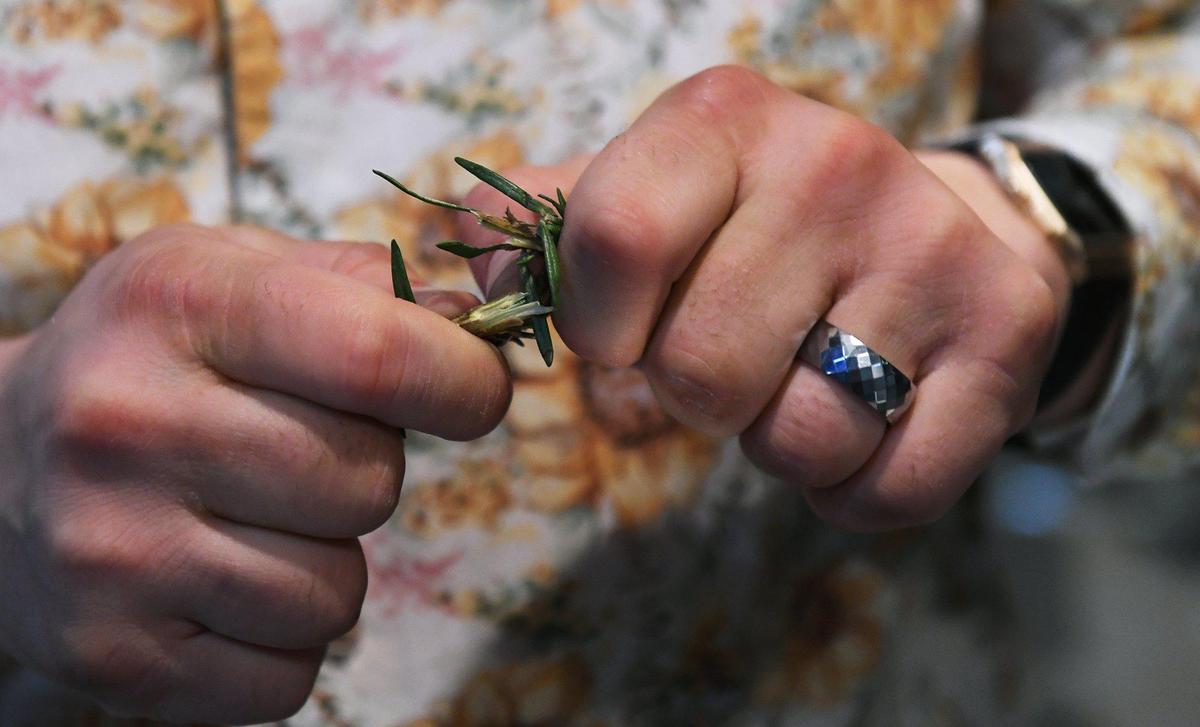 Ian Landis, co owner of Bone Dry Sober Bar, tears apart sprigs of rosemary at a popup during Art Hop Thursday, Dec. 2, 2021 in Fresno.