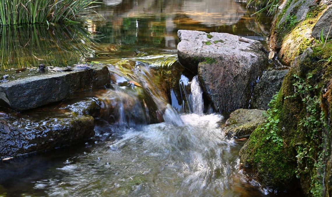 A stream flows through rocks in a tranquil scene at Fresno’s Shinzen Friendship Garden in Woodward Park Thursday, Sept 5, 2024 in Fresno.