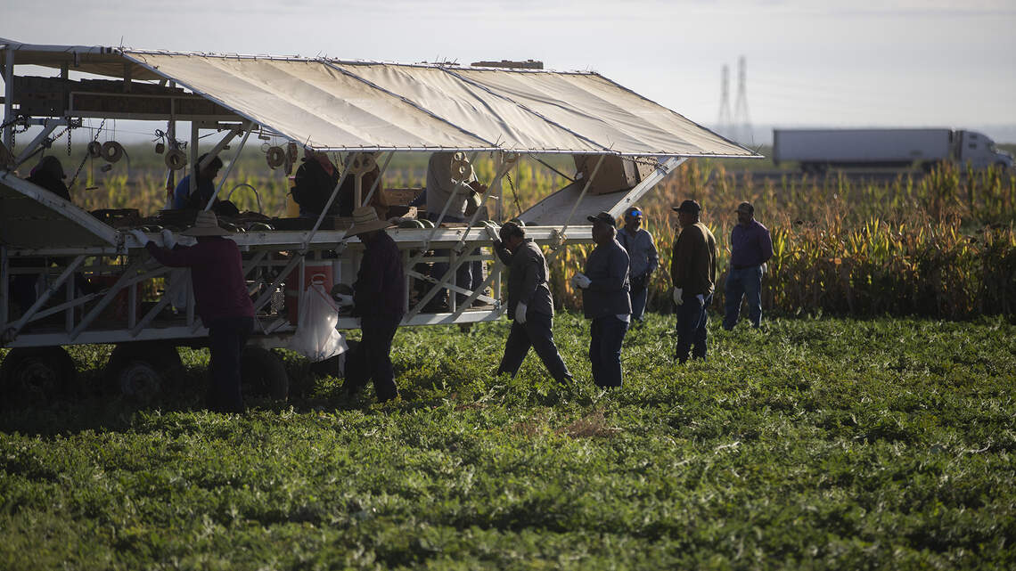 Rising diesel prices pinching profits for CA farmers, spiking costs for consumers