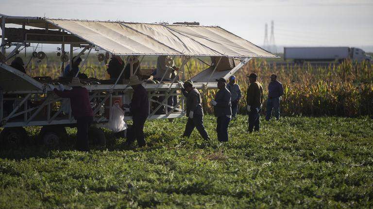 Rising diesel prices pinching profits for CA farmers, spiking costs for consumers
