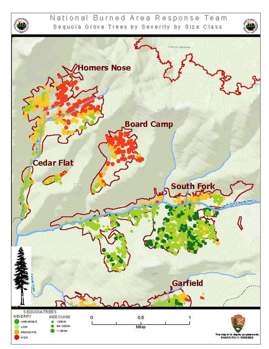 A park service map depicts giant sequoia groves in the South Fork area of Sequoia National Park and the damage individual trees withstood following the Castle Fire in 2020 and KNP Complex Fire in 2021. Red dots signify trees that were killed or severely burned.