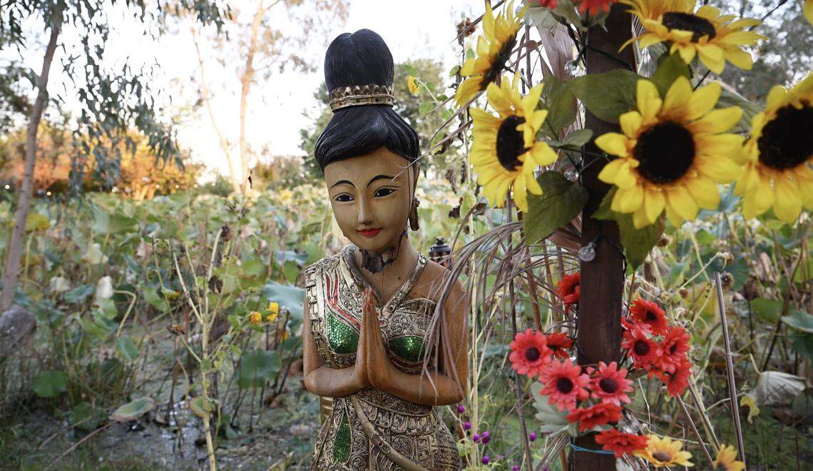 Lotus Pond and Night Market opened this year celebrating the lotus flower and community with a night market offering food, music and more. The night market is wrapping up its season and is located between Fresno and Sanger.