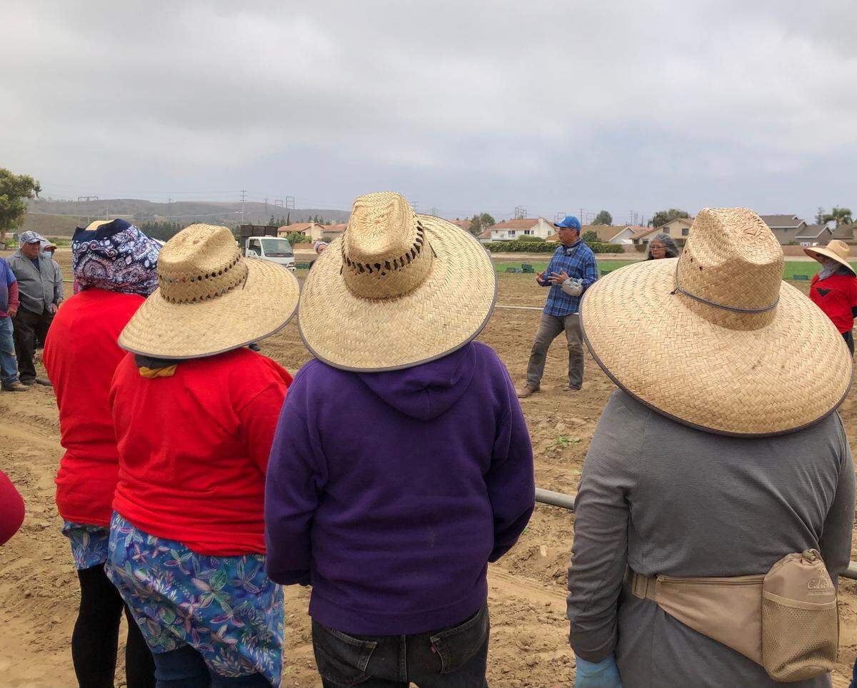 California farmworkers gather for a “roundtable” conversation with have U.S. Senator Alex Padilla (D-California) to discuss immigration reform and labor conditions on Friday, June 3, 2022. Padilla worked alongside farmworkers in Moorpark, CA, as part of the United Farm Workers and UFW Foundation’s ‘Take Our Jobs’ campaign.