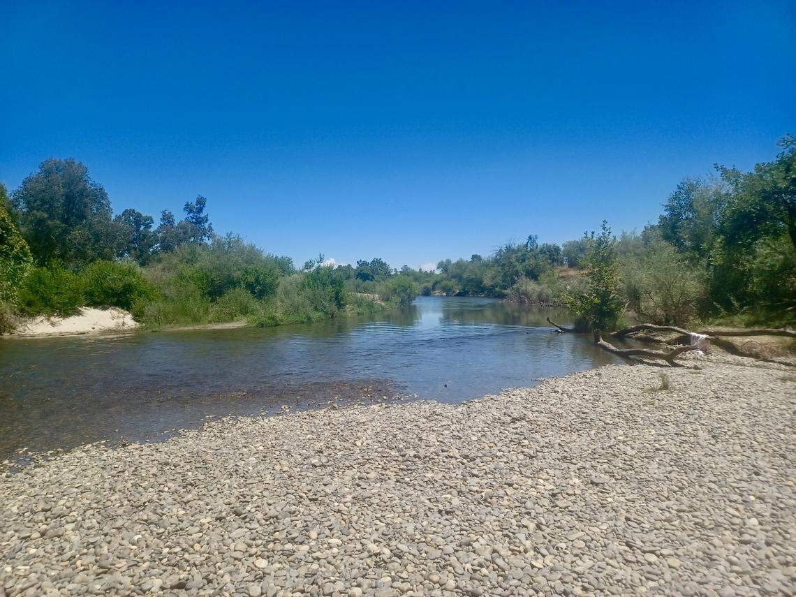 Skaggs Bridge Park in Fresno County.