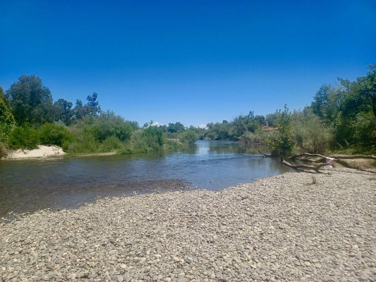 Skaggs Bridge Park in Fresno County.