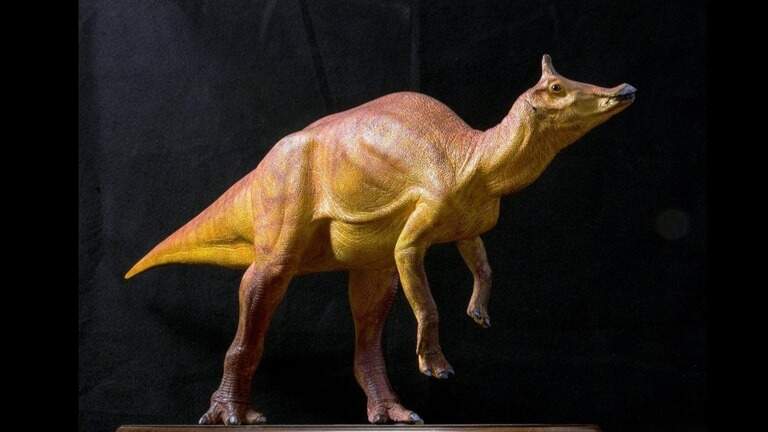 Love dinosaurs? Here’s what makes Central Valley a fossil hotspot