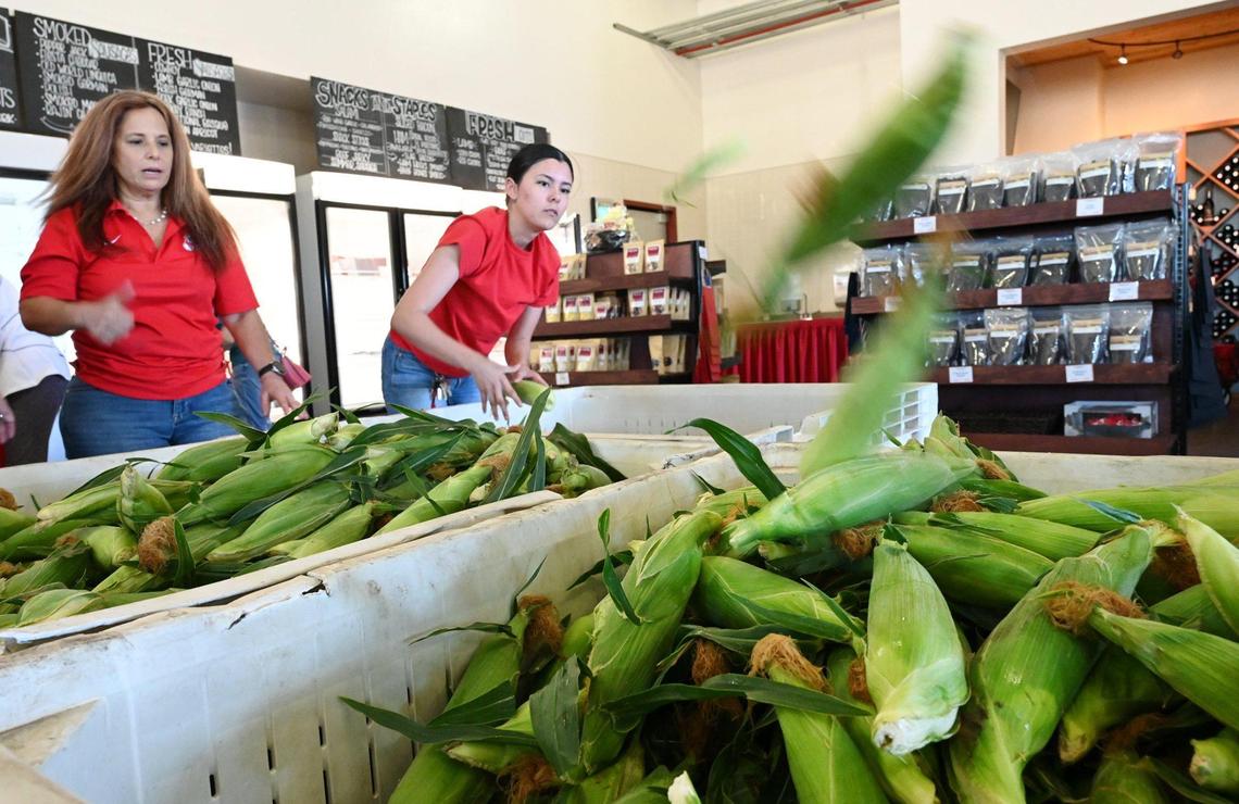 Staff toss ears of corn into bins on the first day Rue and Gwen Gibson Farm Market began selling the popular seasonal sweet yellow and white corn to the public. Photographed Monday, May 30, 2022 in Fresno.