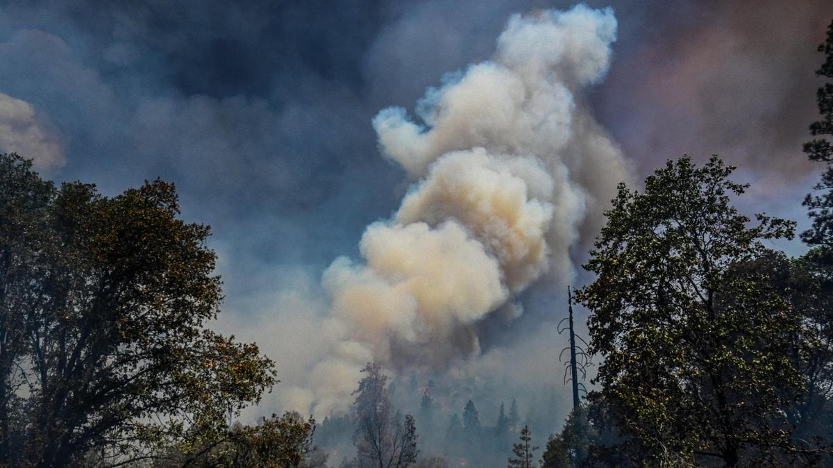 Columnas de humo del Incendio Oak brotan de la ladera de una montaña mientras las llamas avanzan por la zona al este de Mariposa, el sábado 23 de julio de 2022.