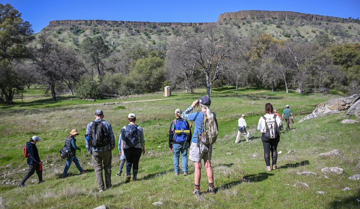 Mushroom hunters survey the grassy area below the table mountains while on a Sierra Foothill Conservancy mycology hike to look for mushrooms and fungi in the McKenzie Preserve near Millerton lake on Saturday, March 1, 2025.