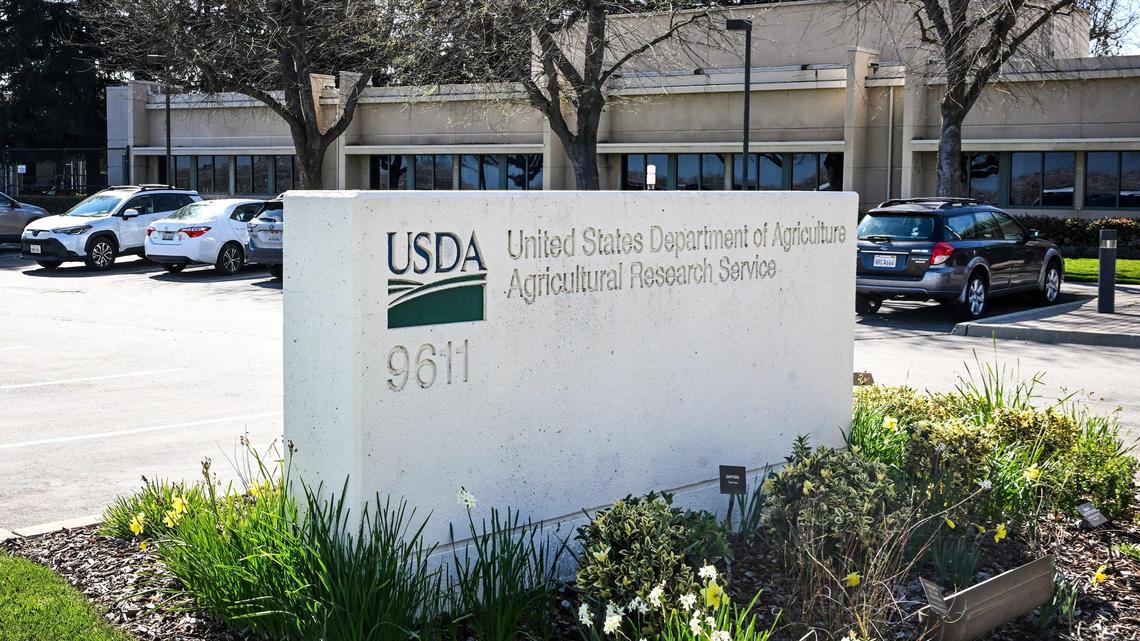 A sign stands outside the USDA Agriculture Research Sciences Center in Parlier on Wednesday, Feb. 26, 2025. About a dozen scientists and researchers have been let go at the center as a result of the Trump administration’s efforts to downsize the federal government.