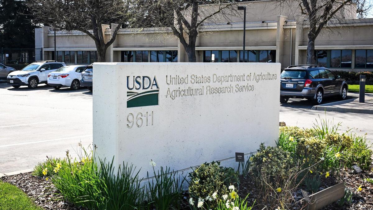 A sign stands outside the USDA Agriculture Research Sciences Center in Parlier on Wednesday, Feb. 26, 2025. About a dozen scientists and researchers have been let go at the center as a result of the Trump administration’s efforts to downsize the federal government.