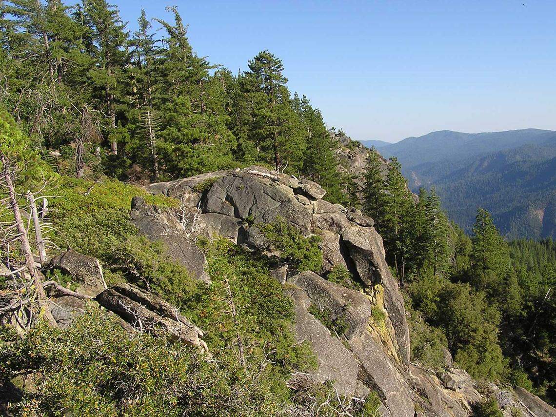 Southern Sierra Miwuk Nation, people indigenous to Yosemite and the greater Mariposa County, regained nearly 900 acres bordering Yosemite, including Henness Ridge slope (the area pictured). The return of ancestral lands enables the Southern Sierra Miwuk Nation restore cultural practices, community healing, and stewardship.