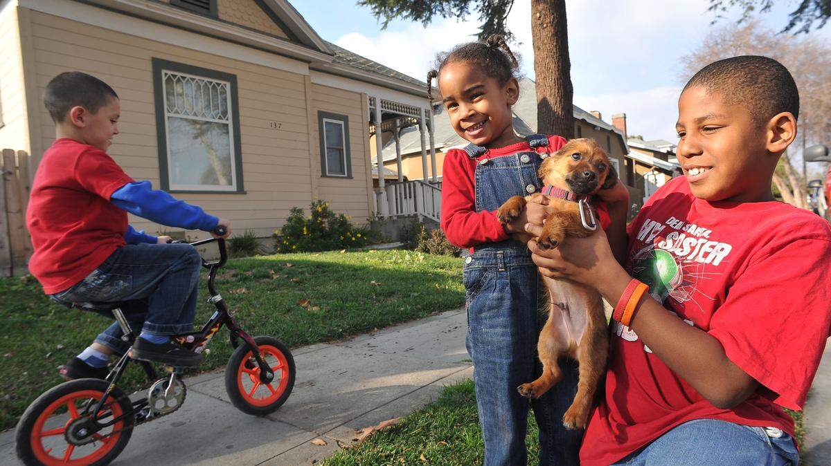 Lowell neighborhood kids Jashia Chandler, 10, right, and sister Shyree Broughton, 3, play with their puppy Moopy as 5-year-old Keanu Solis rides his bike along College Avenue in this file photo.