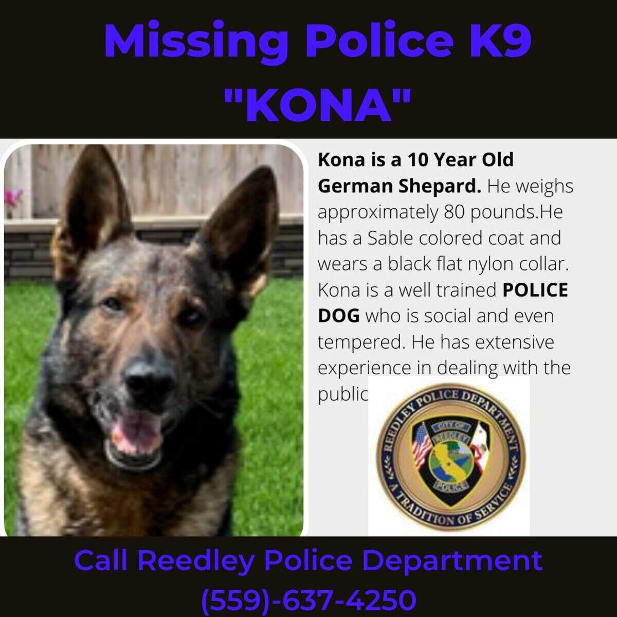 Kona, a 10-year-old K-9 officer with Reedley Police Department, went missing on the Fourth of July after being scared by fireworks, according to police.