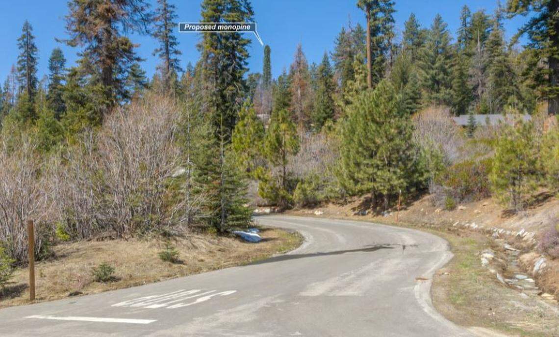 A photo simulation included in a National Park Service environmental review depicts how a proposed Verizon “monopine” cellular tower near Wuksachi Village in Sequoia National Park may appear from nearby Wuksachi Way.