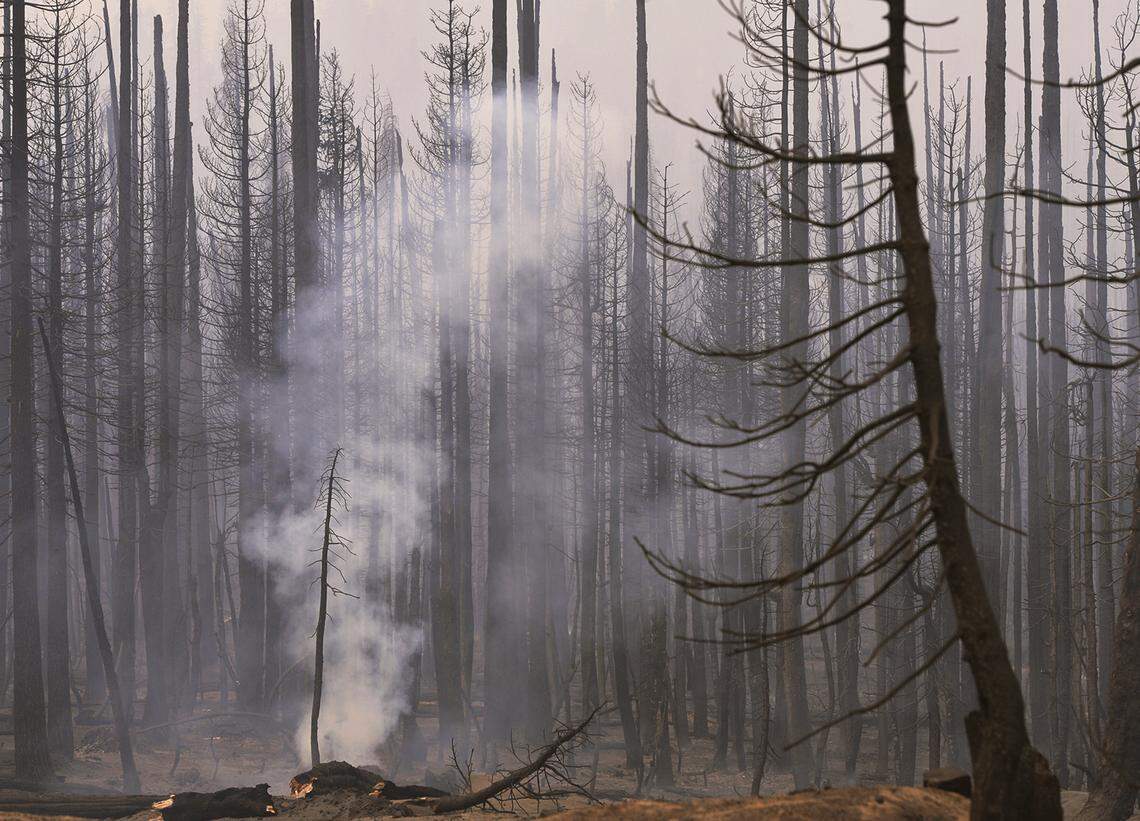 Smoke rises from a charred landscape along Highway 168 Wednesday, Sept. 9, 2020 near Tamarack Ridge.