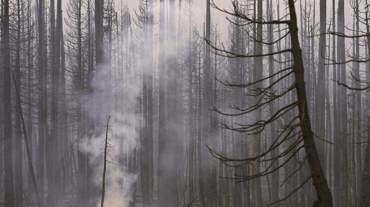 Smoke rises from a charred landscape along Highway 168 Wednesday, Sept. 9, 2020 near Tamarack Ridge.