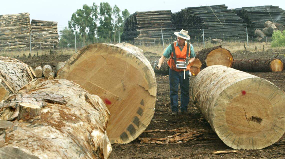In this 2003 photo, Gary Farley, an employee for Northern California Scaling Bureau, checks the quality of the wood at Sierra Forest Products in Terra Bella.
