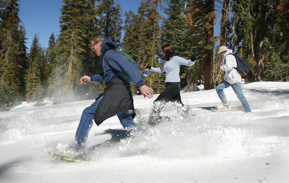 From left to right, snowshoers Dan Nikolai, Kerri Holden, and Richard Coleman, race down a gentle slope at the end of a snowshoing trip in Yosemite National Park on Feb. 12, 2004.