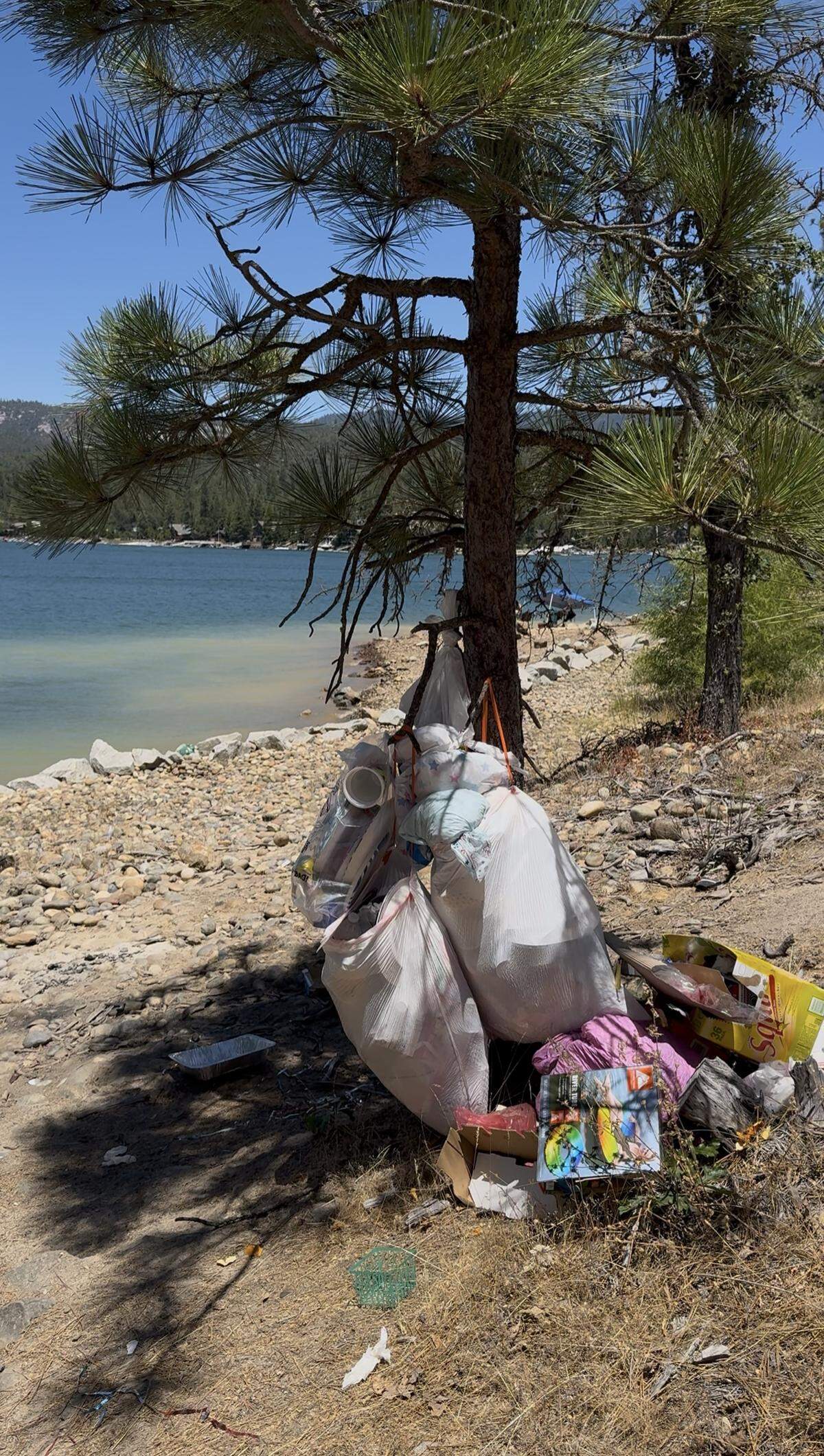 Trash is left hanging from a tree and scattered on the ground along the shoreline of Bass Lake in Madera County following the Fourth of July weekend in 2025.