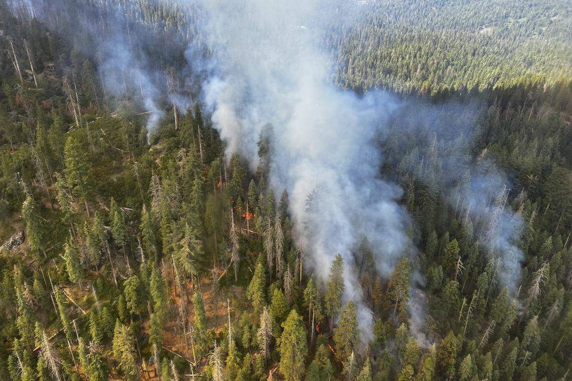 In this image released by the National Park Service, smoke rises from the Washburn Fire near the lower portion of the Mariposa Grove in Yosemite National Park, Calif., Friday, July 8, 2022. Part of Yosemite National Park has been closed as a wildfire quintupled in size near a grove of California’s famous giant sequoia trees, officials said.
