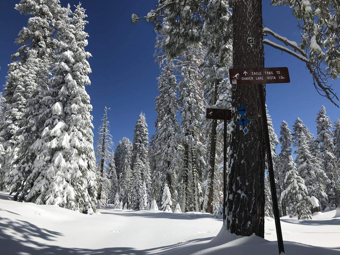 Trail signs hung high from a tree mark the route of several cross-country ski trails that begin at the Coyote Sno-Park along Highway 168 east of Shaver Lake on Sunday, March 4, 2018.