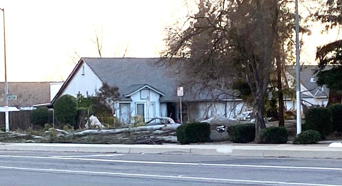 A large tree was knocked down Tuesday evening on the roadway of Polk Avenue near Richert in northwest Fresno. Gusty winds were in the forecast for Fresno