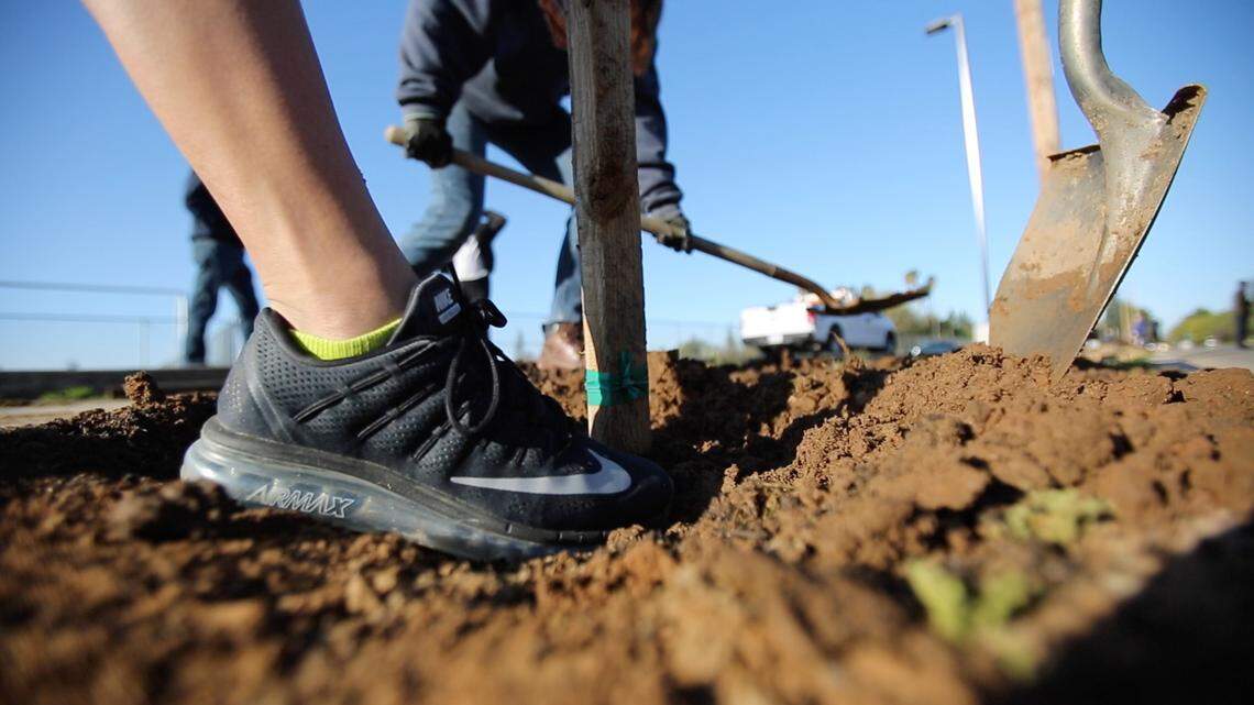 Bullard High students complete a beautification project on campus on Monday March 26/