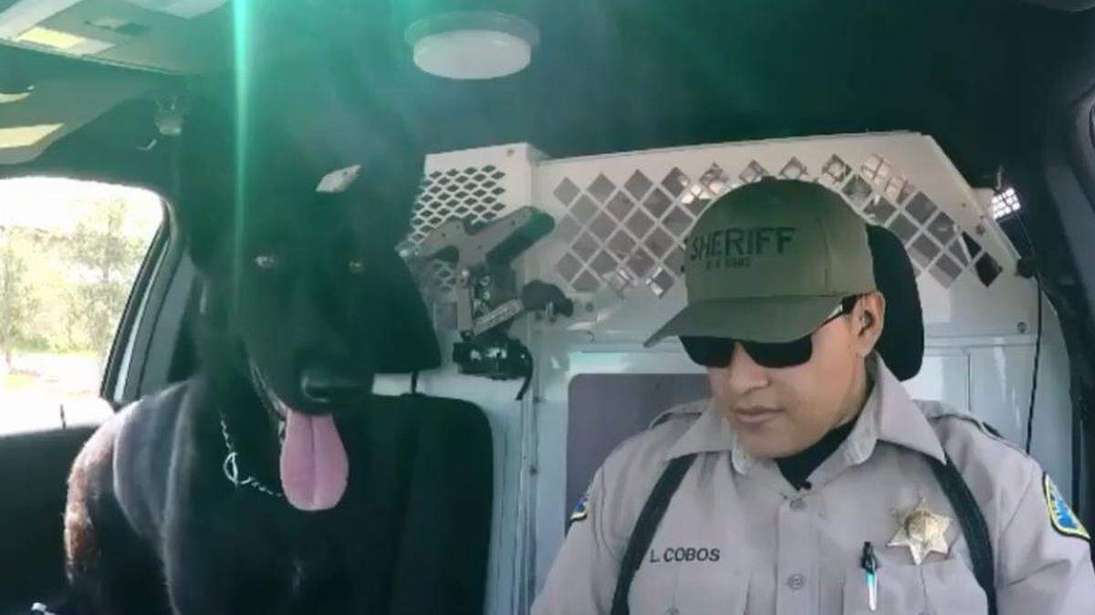 A Tulare County sheriff's deputy and his K-9 take part in the viral "lip sync challenge" in a video posted to the sheriff's office Facebook page.