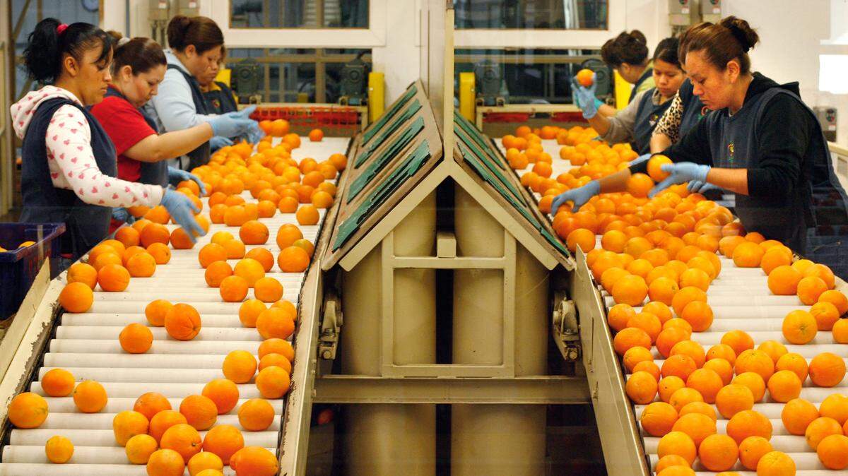 Bee Sweet Citrus in Fowler is one of the central San Joaquin Valley companies that were visited by ICE agents.