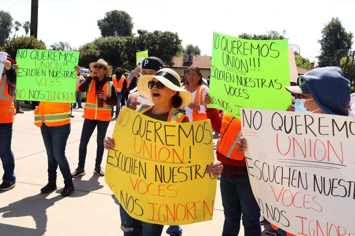 Más de 100 trabajadores de Wonderful Nurseries en Wasco manifestaron su descontento frente a la oficina de la Junta de Relaciones Laborales Agrícolas en Visalia el 27 de marzo.