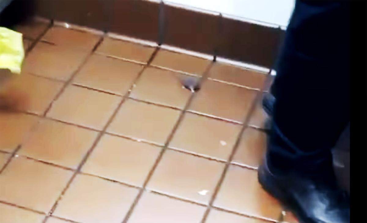 A mouse running loose inside a McDonald’s was captured among a collection of short videos posted on social media, which allegedly was shot inside the Sanger McDonald’s off Academy Avenue. The fast food restaurant was closed Friday “due to maintenance,” a day after videos of the unsanitary conditions surfaced.