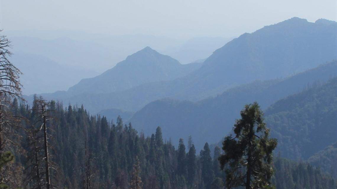 A National Park Service webcam image shows the Giant Forest on Saturday, July 7, 2018. Park officials announced that a wildfire had been discovered in the Sequoia-Kings Canyon National Park.