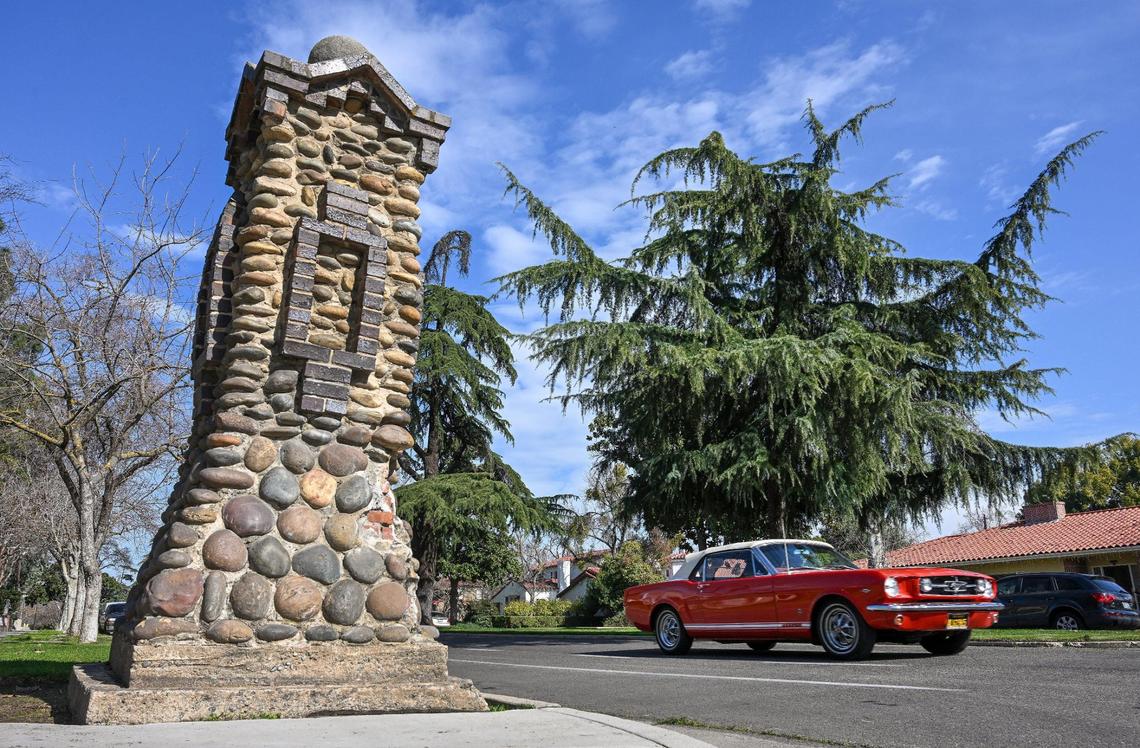 The deodar cedar trees in the median along Van Ness Boulevard south of Shields Avenue in central Fresno will be getting a trimming soon according to city officials who have placed signs along the route to notify neighbors.
