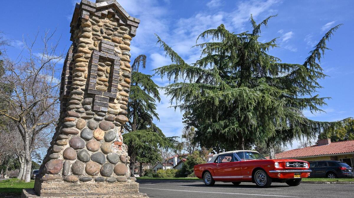 The deodar cedar trees in the median along Van Ness Boulevard south of Shields Avenue in central Fresno will be getting a trimming soon according to city officials who have placed signs along the route to notify neighbors.