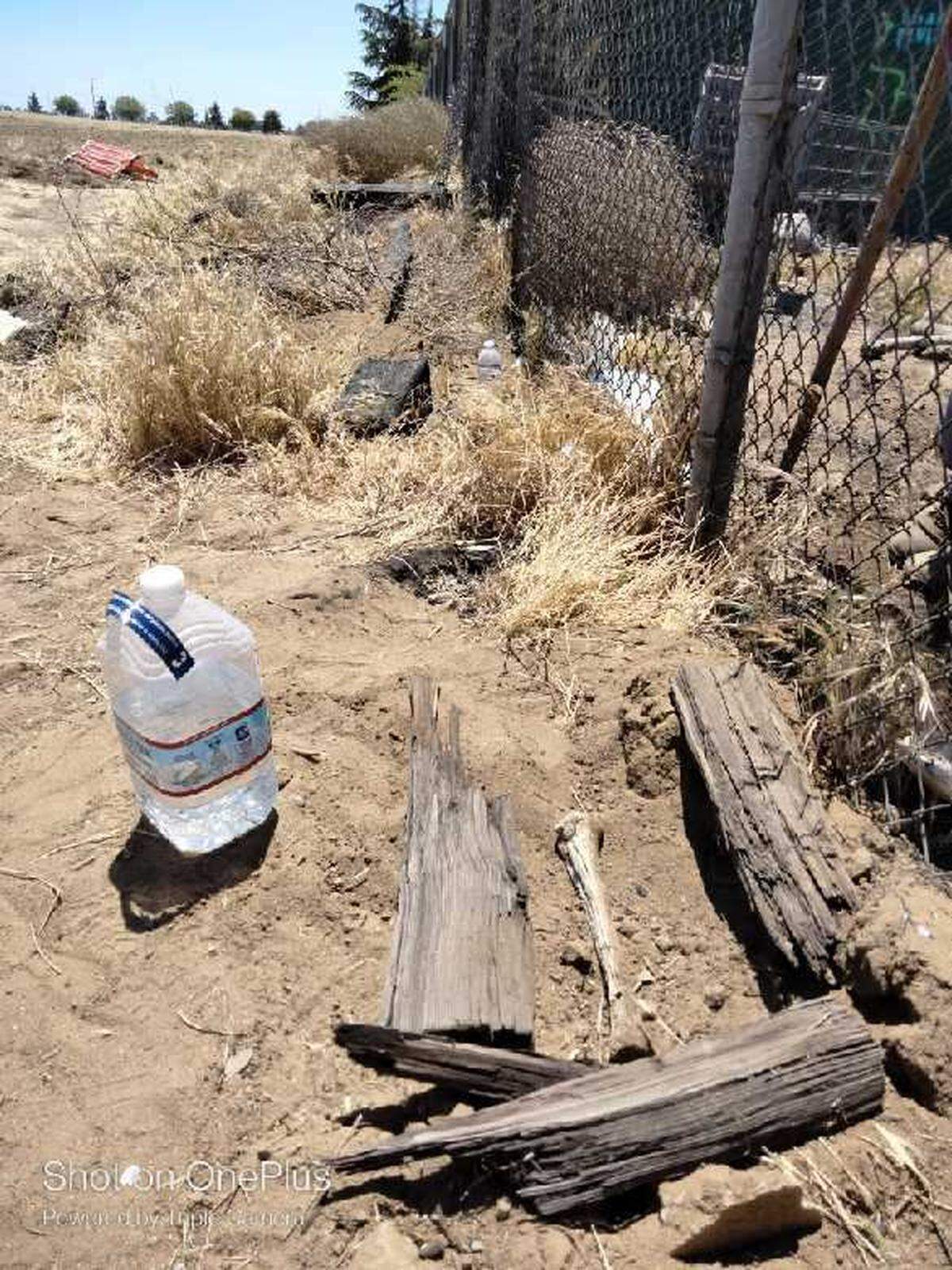 A human leg bone was found on the same lot where Luis A. Montana’s skull was located.