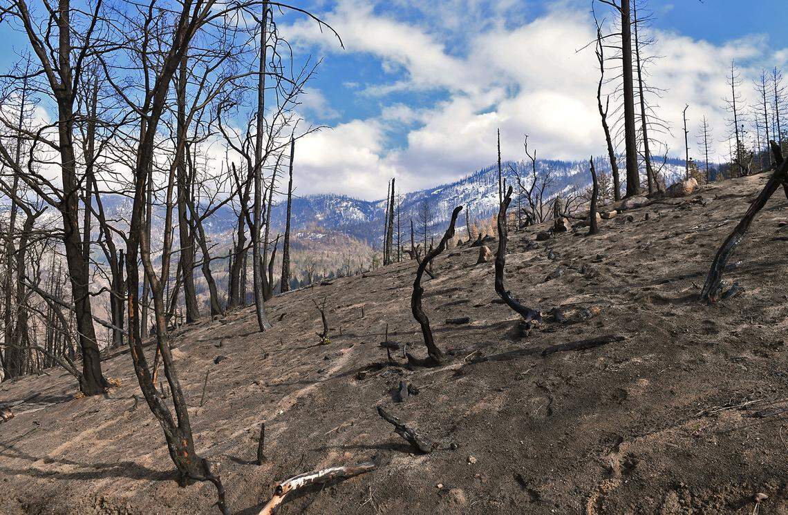 A charred hillside near the origin site of the Creek Fire Wednesday, Feb. 24, 2021 near Camp Sierra.