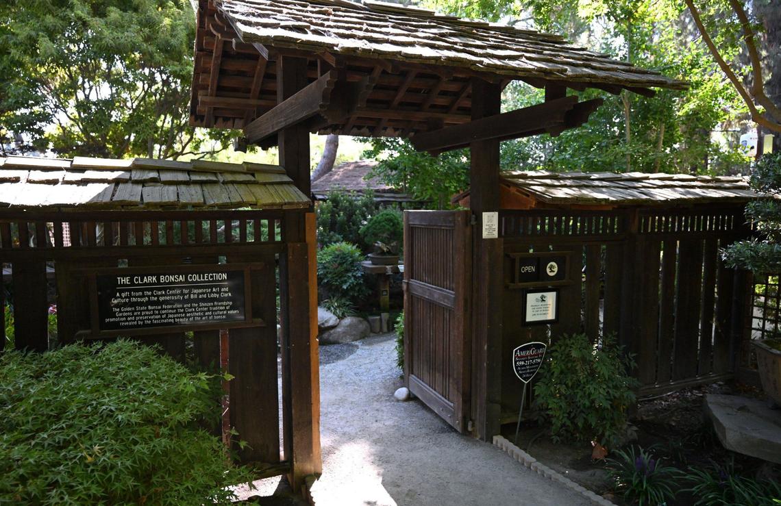 The Clark Bonsai Collection is located inside Fresno’s Shinzen Friendship Garden in Woodward Park. Photographed Wednesday, Sept 4, 2024 in Fresno.