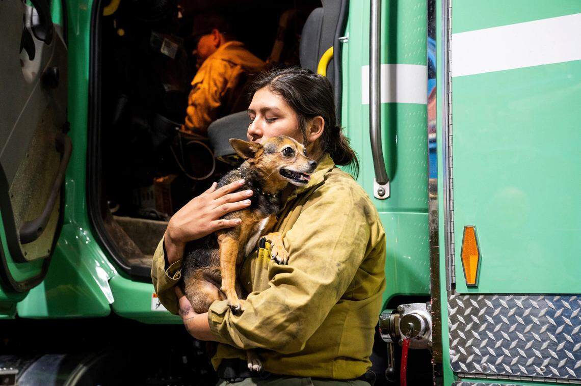 Firefighter Joanna Jimenez holds a dog she found wandering in a fire evacuation zone as the Oak Fire burns in Mariposa County, Calif., on Saturday, July 23, 2022.